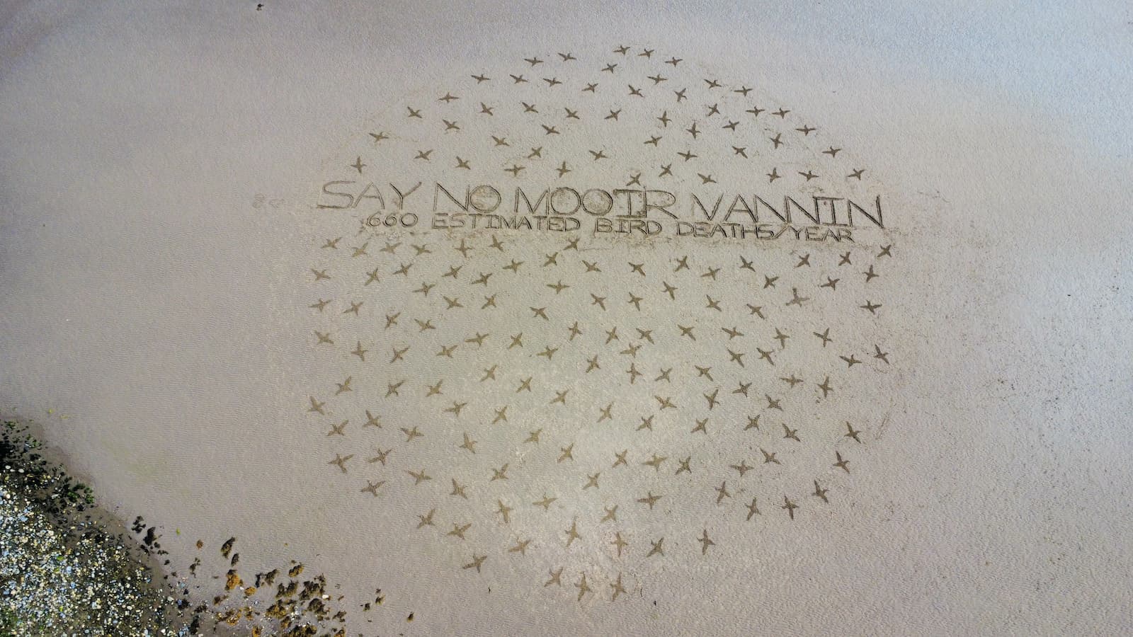 Aerial view of large-scale beach art on Manx sand reading 'Say No Mooir Vannin — 660 estimated bird deaths/year', surrounded by dozens of bird shapes drawn in the sand